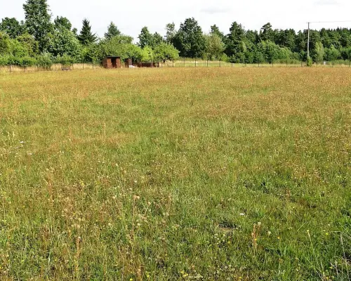 Działka rolno-budowlana 4000 m2, Letniki