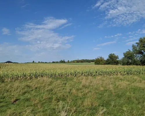 Działka inwestycyjna przy S8