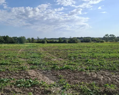 Działka inwestycyjna przy S8