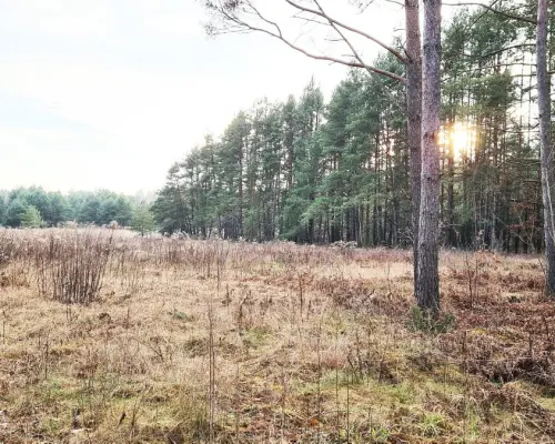 Działka 8500 m2, Jurowce