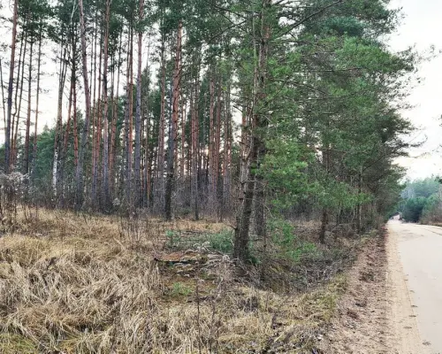 Działka 8500 m2, Jurowce