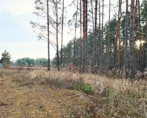 Działka 8500 m2, Jurowce