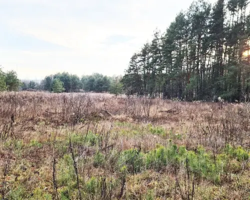 Działka 8500 m2, Jurowce