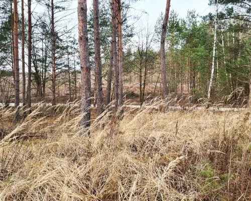 Działka 8500 m2, Jurowce
