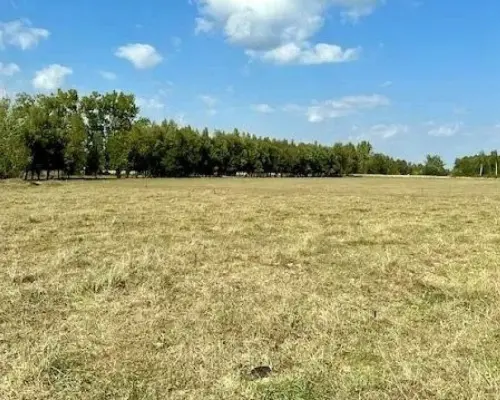 Działka budowlana 1000 m2, Rafałówka