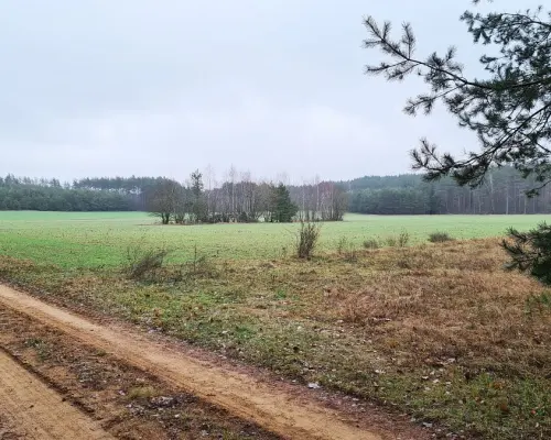 Działka 1743 m2, Pieńki