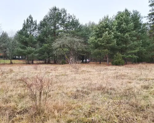 Działka 1743 m2, Pieńki