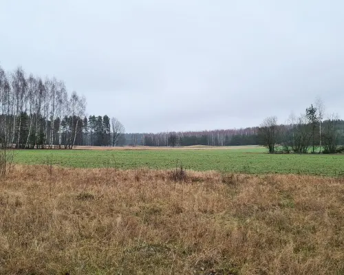 Działka 1743 m2, Pieńki