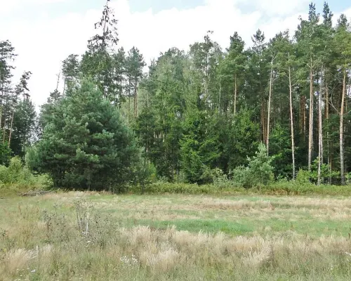 Budowlano - rolna 1,04 ha. Pod miastem