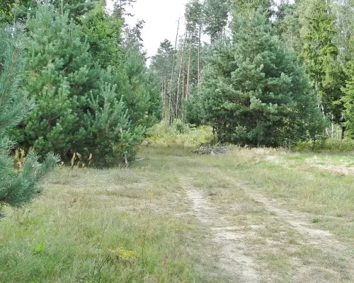 Budowlano - rolna 1,04 ha. Pod miastem
