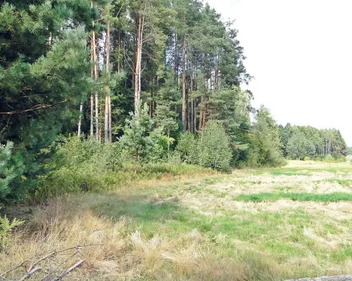Budowlano - rolna 1,04 ha. Pod miastem