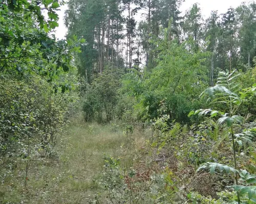 Budowlano - rolna 1,04 ha. Pod miastem