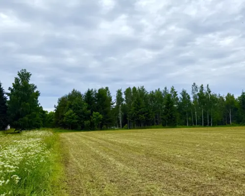 Twoja prywatna linia brzegowa nad Jeziorem Hańcza