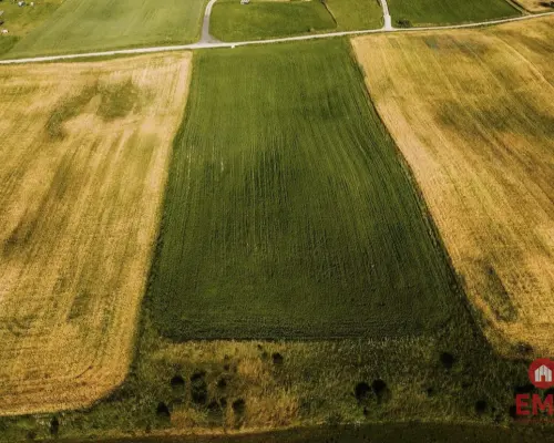 Działka - Żegary, gm. Sejny