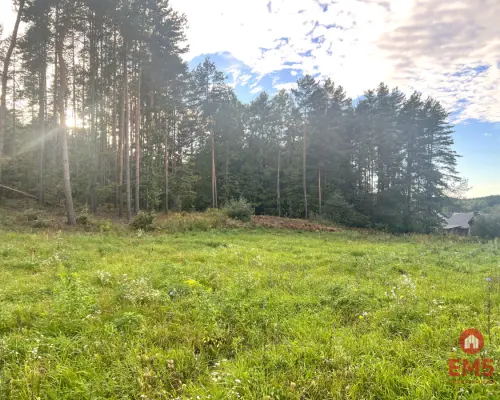 Działka z warunkami zabudowy pod lasem.
