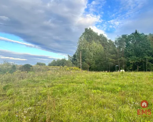 Działka z warunkami zabudowy pod lasem.