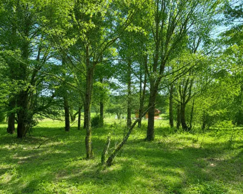 Działka 1792 m2, Pieńki
