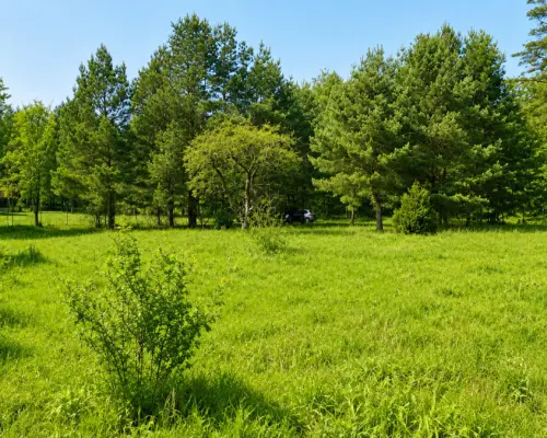 Działka 1792 m2, Pieńki
