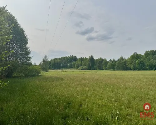 Działka w  Kosmatym Borku