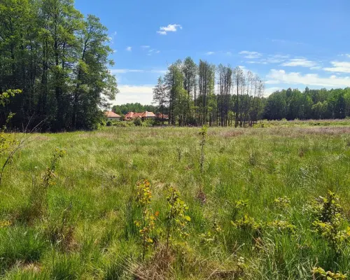 Zaścianki, działka deweloperska