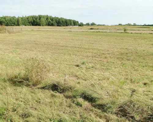 Działka budowlana 1500 m2, gm. Juchnowiec