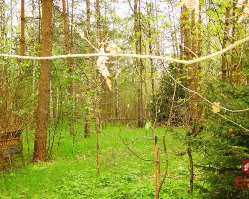 Działka rekreacyjno-budowlana 0,8 ha, pod miastem