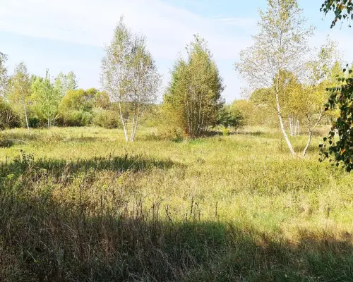 Ciasne. Działka budowlana 5100 m2.