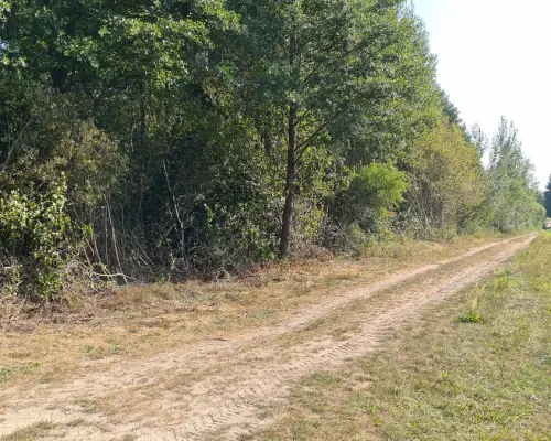 Ciasne. Działka budowlana 5100 m2.