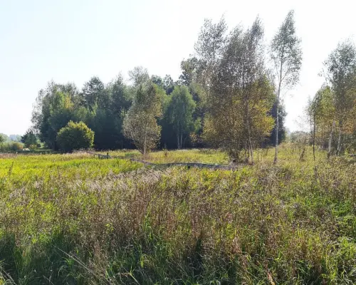 Ciasne. Działka budowlana 5100 m2.