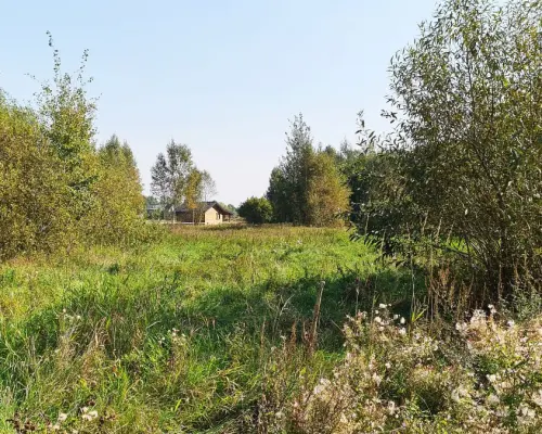 Ciasne. Działka budowlana 5100 m2.