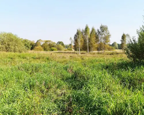 Ciasne. Działka budowlana 5100 m2.