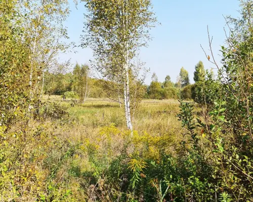 Ciasne. Działka budowlana 5100 m2.