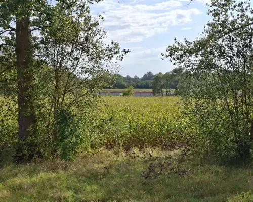 Działka inwestycyjna przy S8
