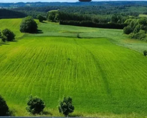 ATRAKCYJNA DZIAŁKA 8 964 m² – GULBIENISZKI