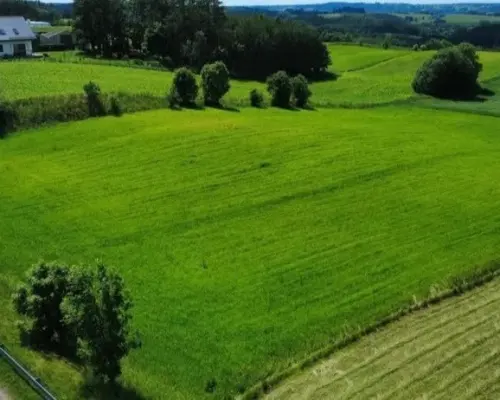 ATRAKCYJNA DZIAŁKA 8 964 m² – GULBIENISZKI