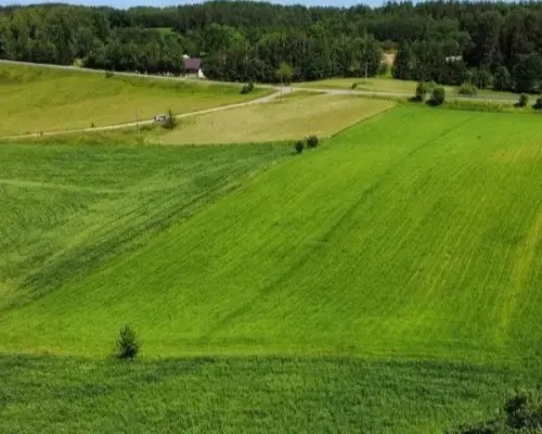 ATRAKCYJNA DZIAŁKA 8 964 m² – GULBIENISZKI