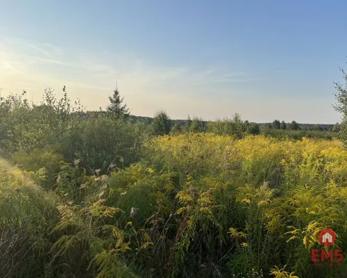 Ziemia pod uprawy blisko Hajnówki.