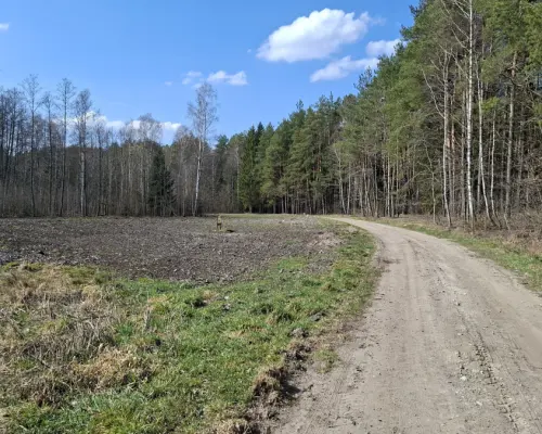 Działka budowlana pod lasem. 1085 m2