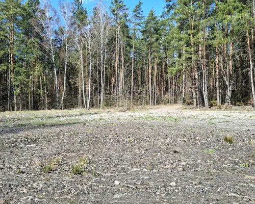 Działka budowlana pod lasem. 1085 m2