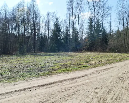 Działka budowlana pod lasem. 1085 m2