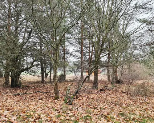 Działka 1900 m2. Pieńki