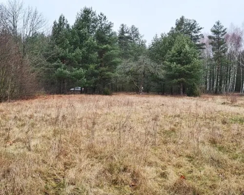 Działka 1900 m2. Pieńki