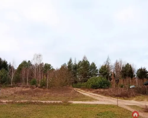 działka pod lasem blisko Białegostoku ze stawem