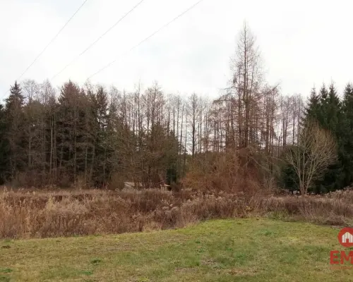 działka pod lasem blisko Białegostoku ze stawem