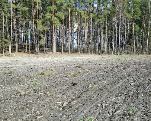 Działka budowlana 1183 m2. Solniczki.