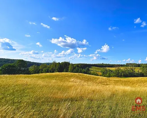 Działka budowlana pod usługi turystyczne - Mazury