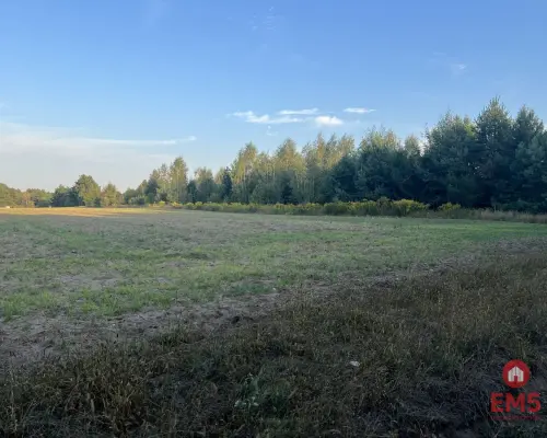 Działka rolna ok. 2 ha w gminie Czyże.