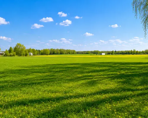 Działka rolno-budowlana 2,5 ha. Nowosiółki