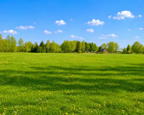 Działka rolno-budowlana 2,5 ha. Nowosiółki