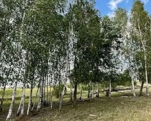 Działka budowlana 1425 m2, Rafałówka